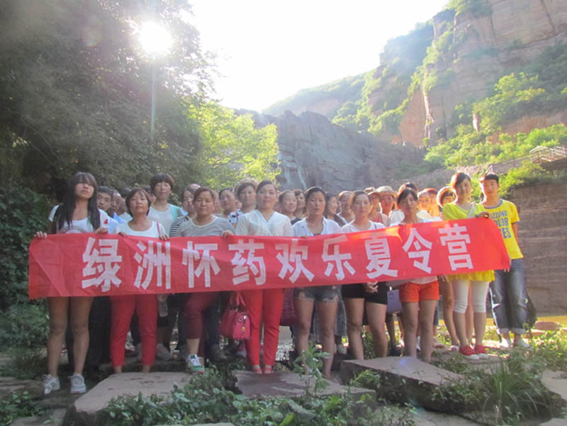 2014洛陽龍?zhí)洞髰{谷