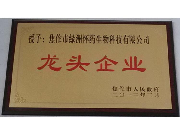 2013年龍頭企業(yè)