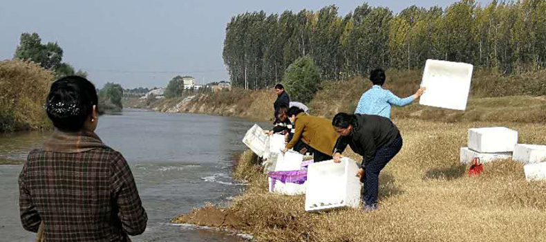 焦作市綠洲懷藥生物科技有限公司： 積極參加放生活動(dòng)，保護(hù)生態(tài)