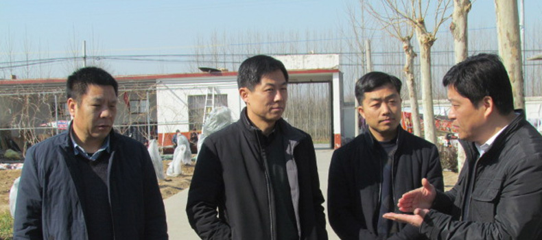 綠洲懷藥走訪慰問(wèn) 濃濃關(guān)懷顯真情